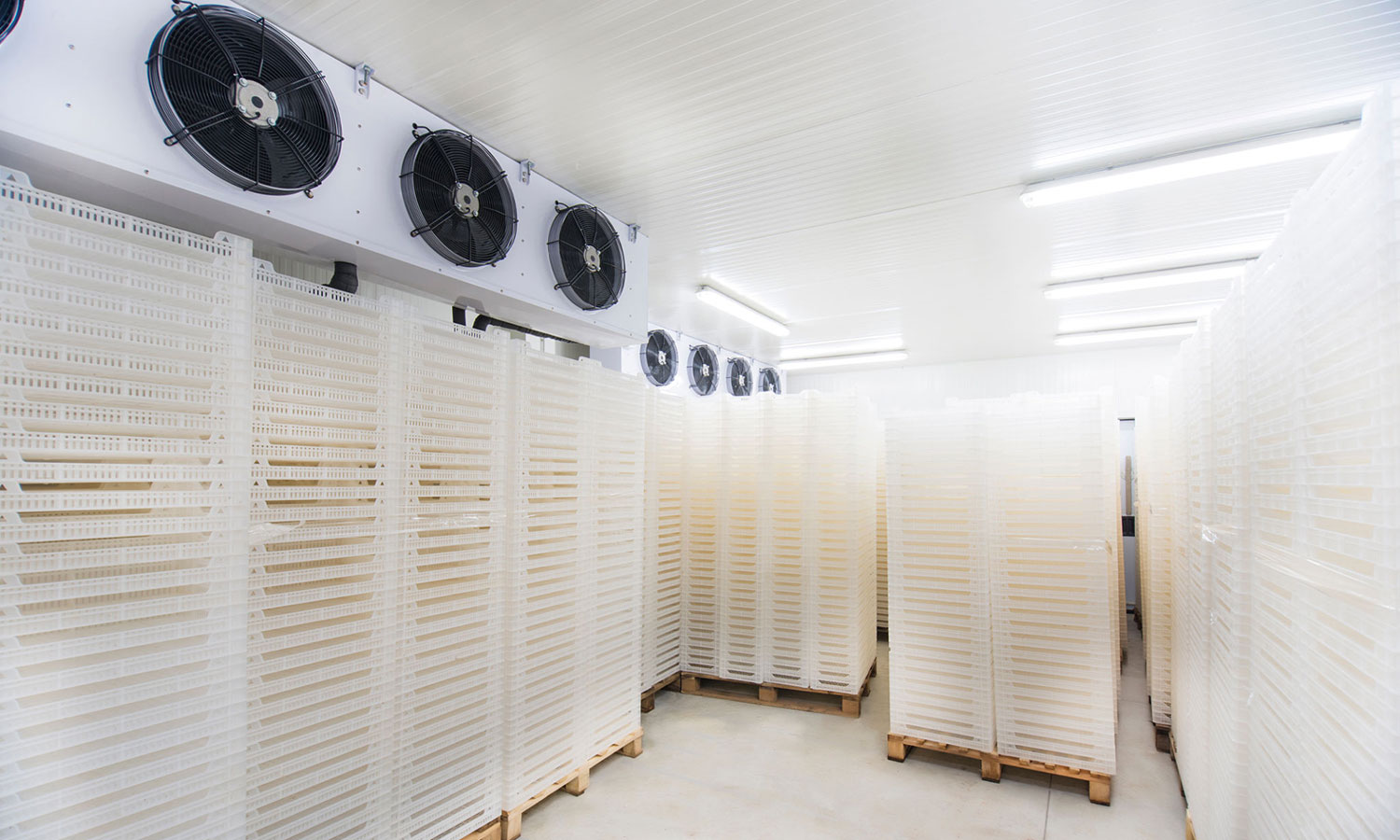 Commercial Refrigeration Repair and Installation